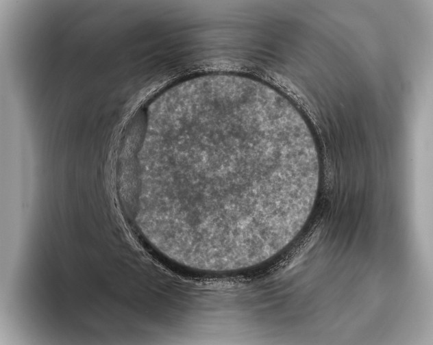 X0000095530625200801111414