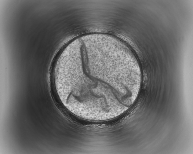 X0000095530626200801111414