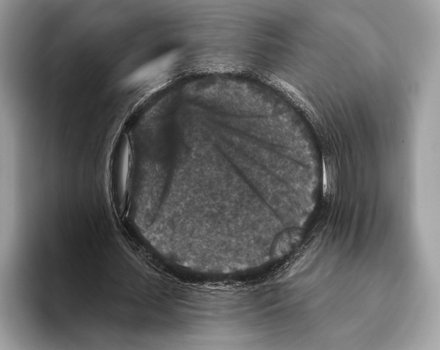 X0000095530627200801111414