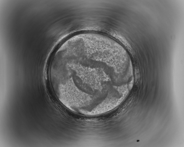 X0000095530628200801111414