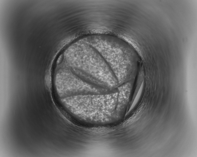 X0000095530630200801111414