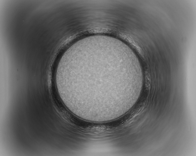 X0000095530631200801111414