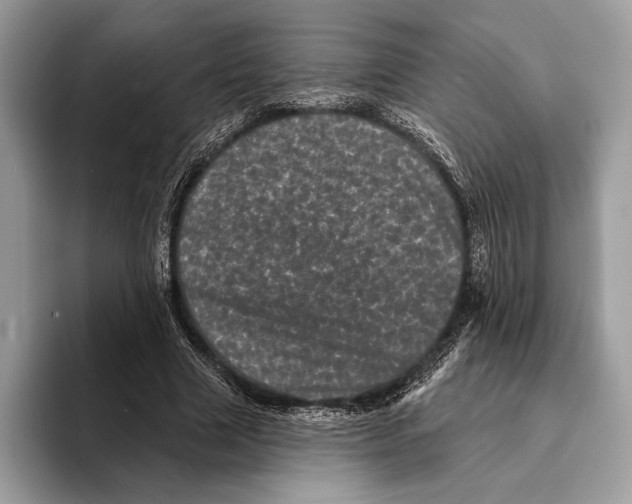 X0000095530633200801111414