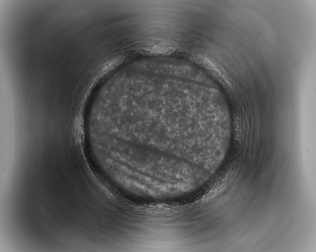 X0000095530634200801111414