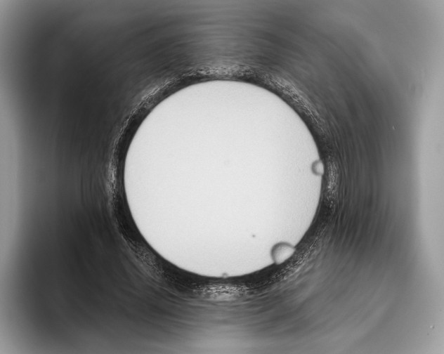 X0000095530636200801111414