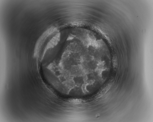 X0000095530637200801111414