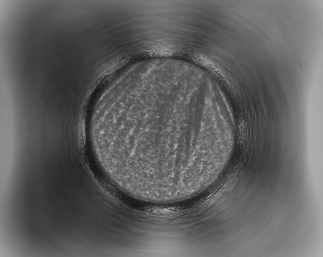 X0000095530638200801111414