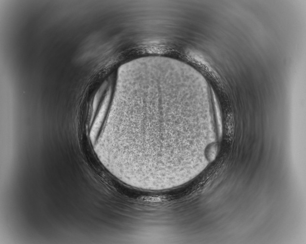 X0000095530639200801111414