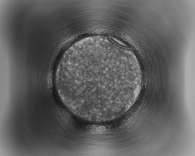 X0000095530640200801111414