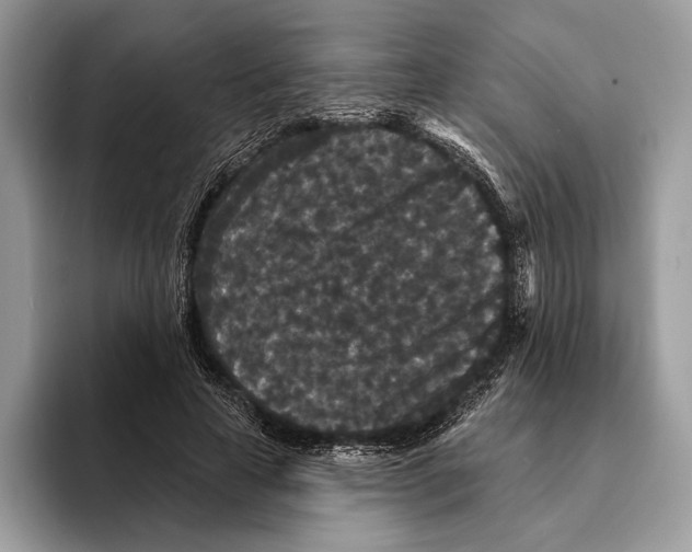 X0000095530641200801111414