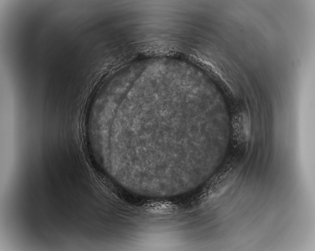 X0000095530642200801111414