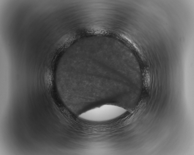 X0000095530643200801111414