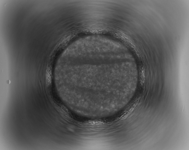 X0000095530644200801111414