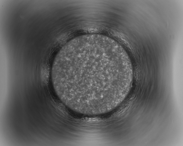 X0000095530645200801111414