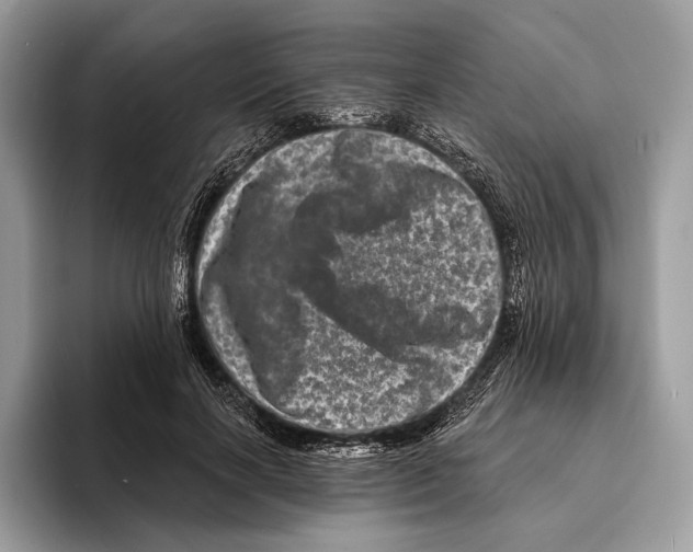 X0000095530646200801111414