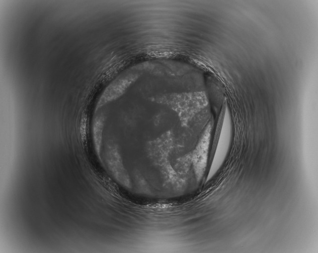 X0000095530647200801111414