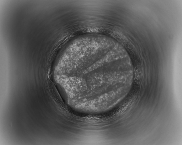 X0000095530648200801111414