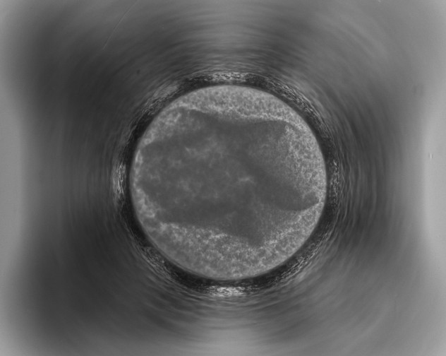 X0000095530649200801111414