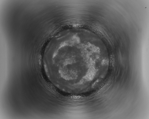 X0000095530650200801111414