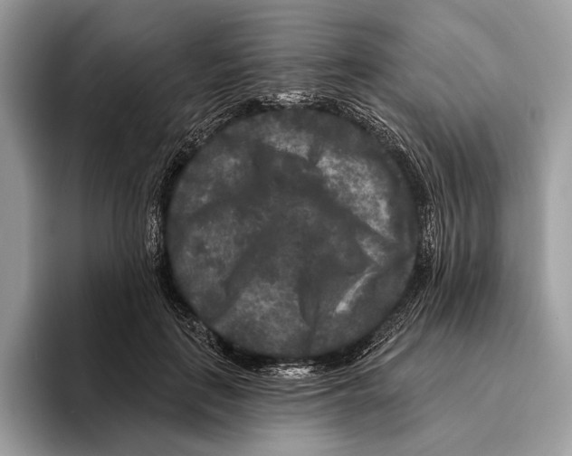 X0000095530651200801111414