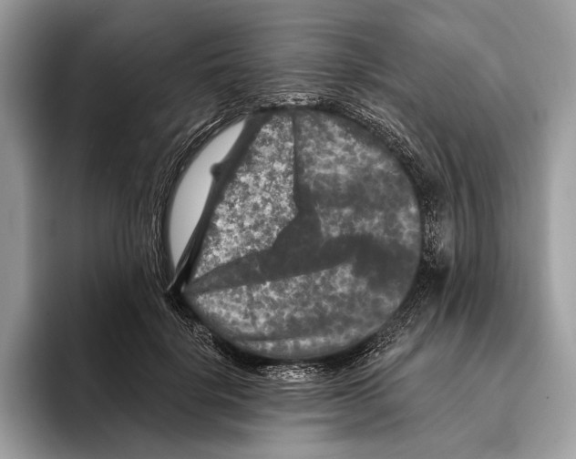 X0000095530652200801111414