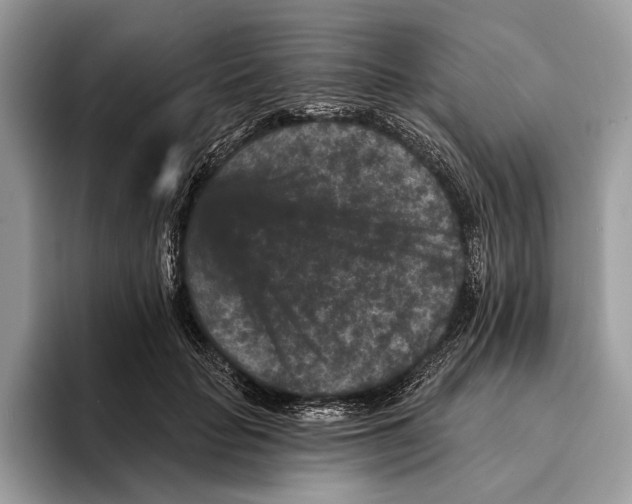 X0000095530653200801111414