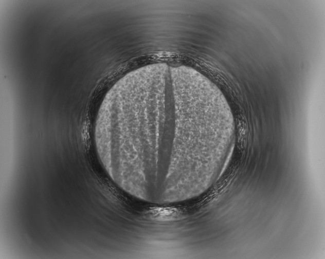 X0000095530654200801111414