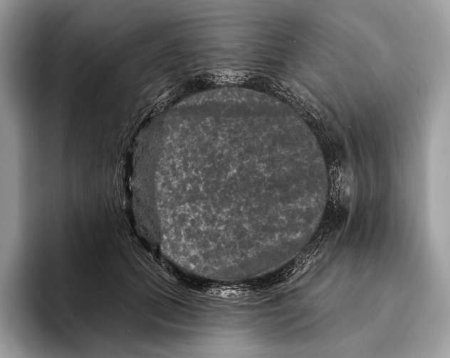 X0000095530655200801111414