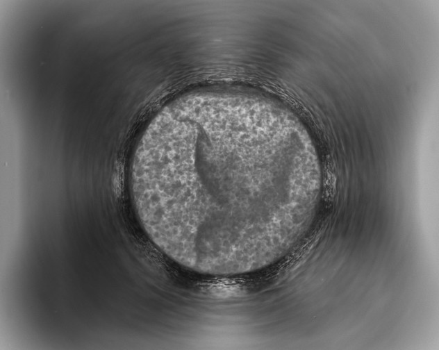 X0000095530656200801111414