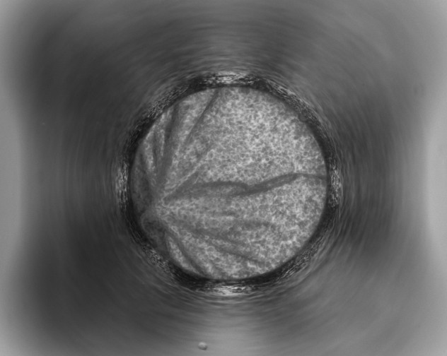 X0000095530657200801111414