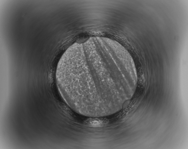 X0000095530658200801111414