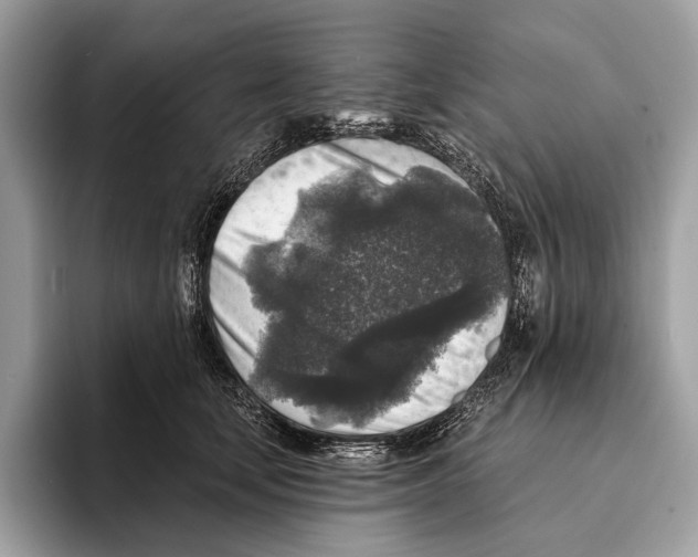 X0000095530659200801111414