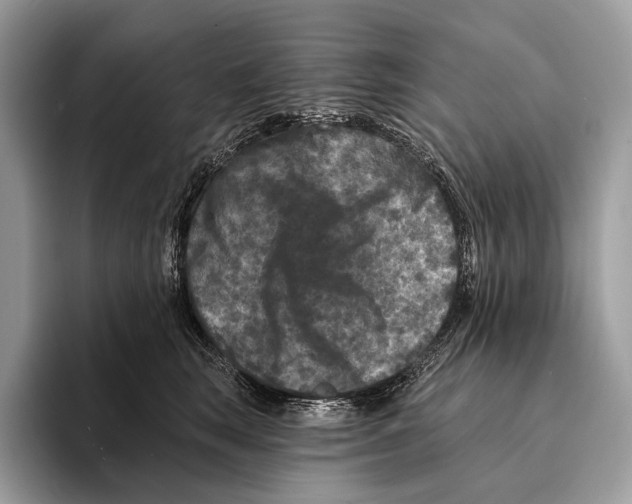 X0000095530663200801111414