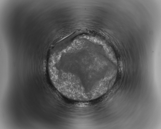 X0000095530664200801111414