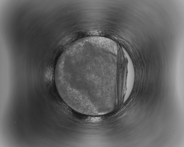 X0000095530665200801111414