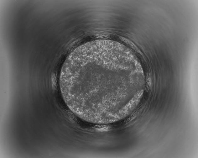 X0000095530667200801111414