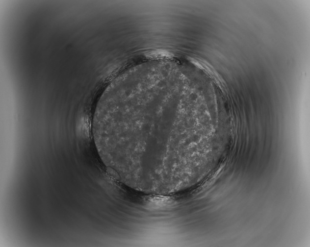 X0000095530669200801111414