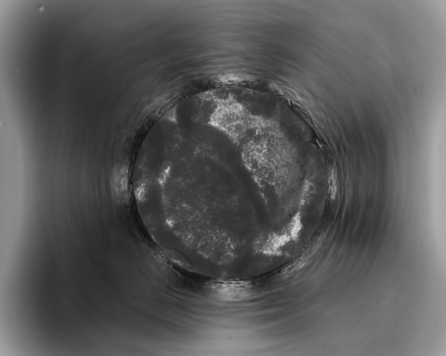 X0000095530670200801111414