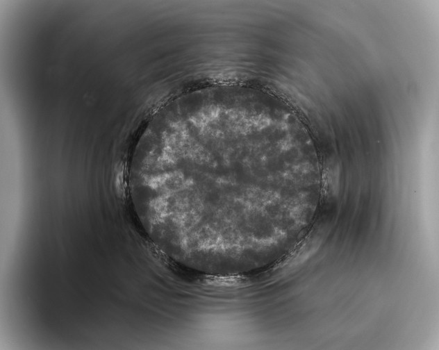 X0000095530671200801111414