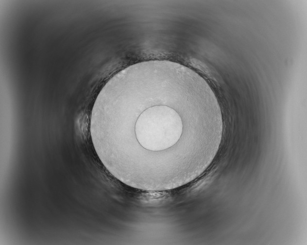 X0000095530672200801111414