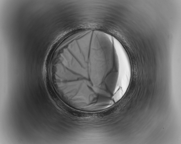 X0000095530674200801111414