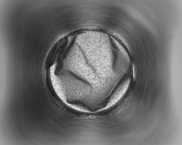 X0000095530675200801111414