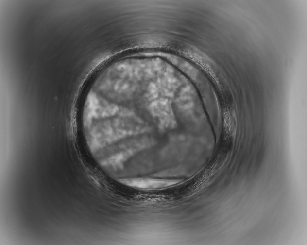 X0000095530676200801111414