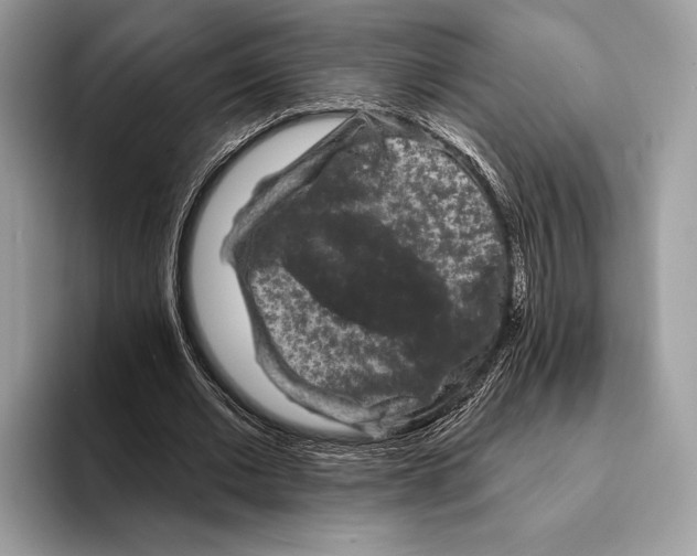 X0000095530677200801111414