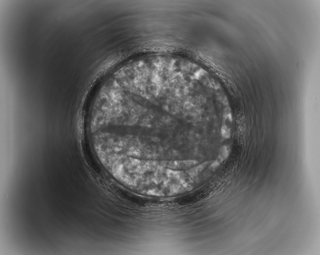 X0000095530679200801111413