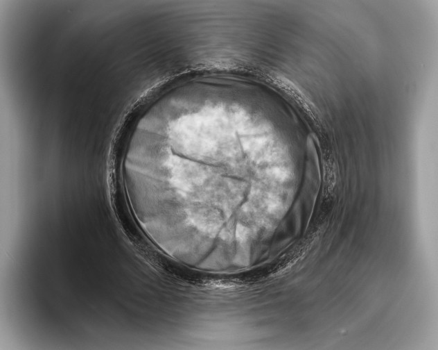 X0000095530680200801111413