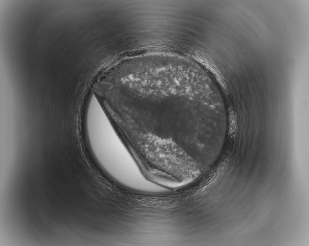 X0000095530681200801111413