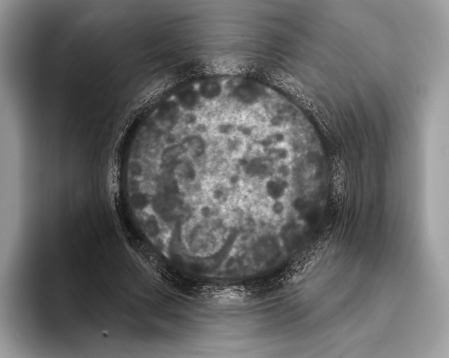 X0000095530683200801111413