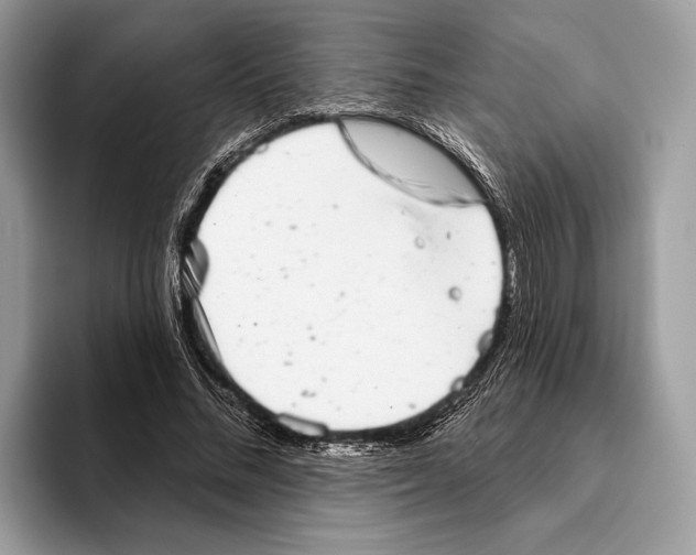 X0000095530684200801111413