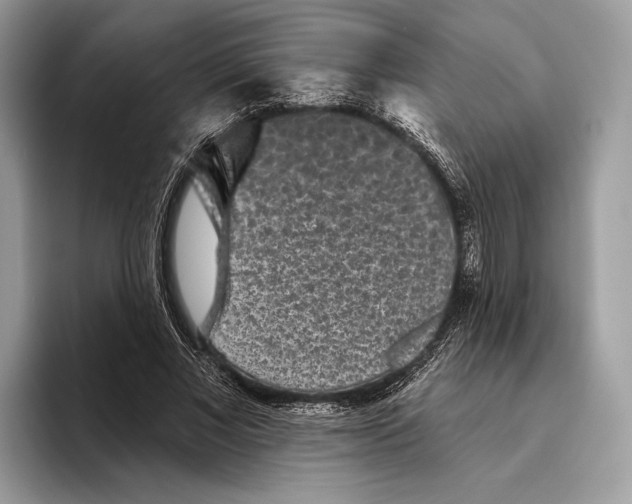 X0000095530685200801111413